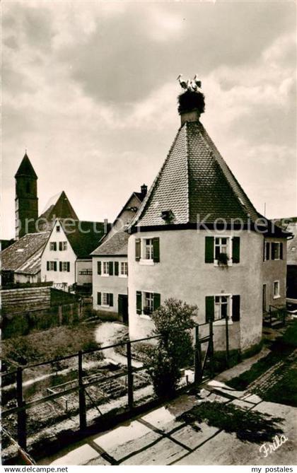 Gunzenhausen Altmuehlsee Storchennest