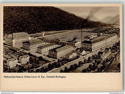 13911016 - Gutach im Breisgau