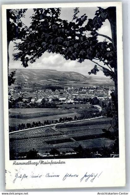 51289567 - Hammelburg