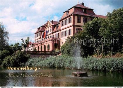 Hammelburg Kellereischloss