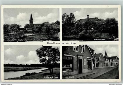 13161659 - Haseluenne