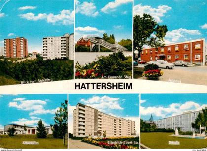 Hattersheim Main Blick vom Autoberg Am Eisernen Steg Rathaus Altenheim Friedr Eb