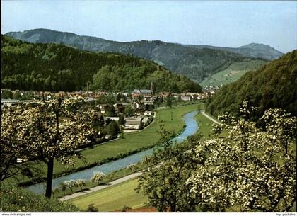 Hausach Panorama