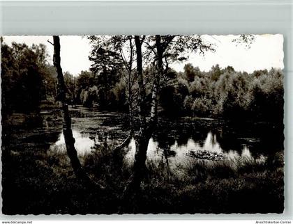 40096248 - Heide , Holst