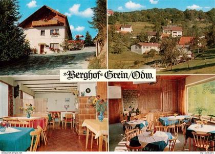 Grein Heidelberg Neckar Cafe Pension Berghof Grein Gastraeume