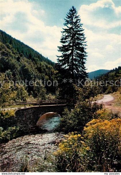 Siebertal Herzberg Brueckenpartie