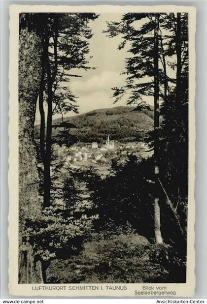 10036844 - Schmitten , Taunus