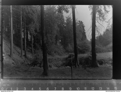 30033273 - Laubach , Hess