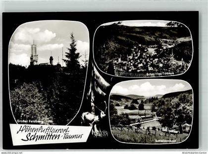 39919781 - Schmitten , Taunus