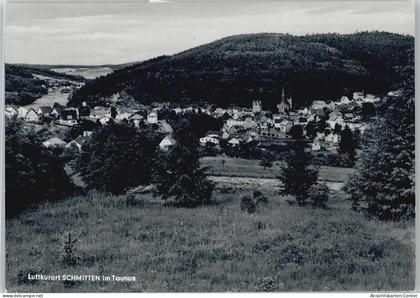 50378260 - Schmitten , Taunus