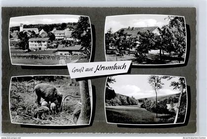 51339168 - Krumbach , Odenw