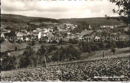 Breitenbrunn Odenwald Panorama