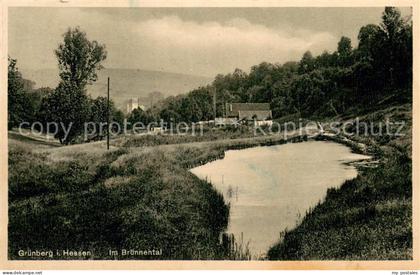 Gruenberg  Hessen Im Bruennental