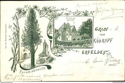Lithographie Erfelden Riedstadt am Rhein Hessen, Forsthaus Kühkopf, Pyramideneiche