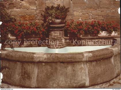 Wolfhagen Brunnen