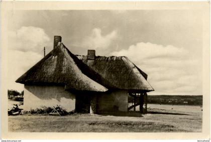 Hiddensee, Blick zum Dornbusch