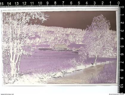 31002666 - Hinterzarten