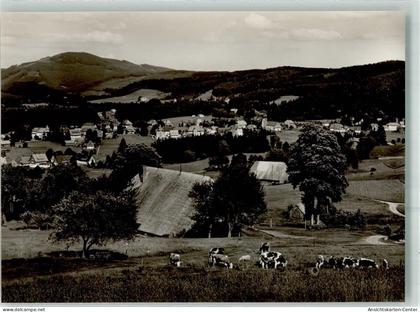 38093325 - Hinterzarten