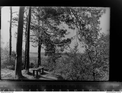 30055118 - Hitzacker (Elbe)