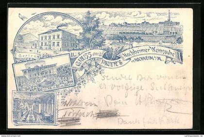 Lithographie Hochheim a. M., Gasthaus Hochheimer Weinstube und Ortspanorama