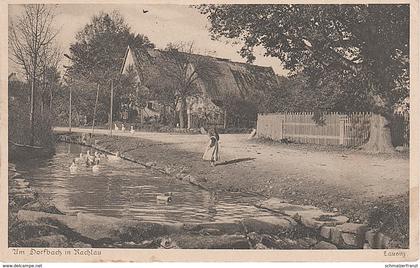 Heimatschutz AK Rachlau Dorfbach a Kubschütz Hochkirch Meschwitz Soritz Döhlen Pielitz Wuischke Wittichenau Commerau