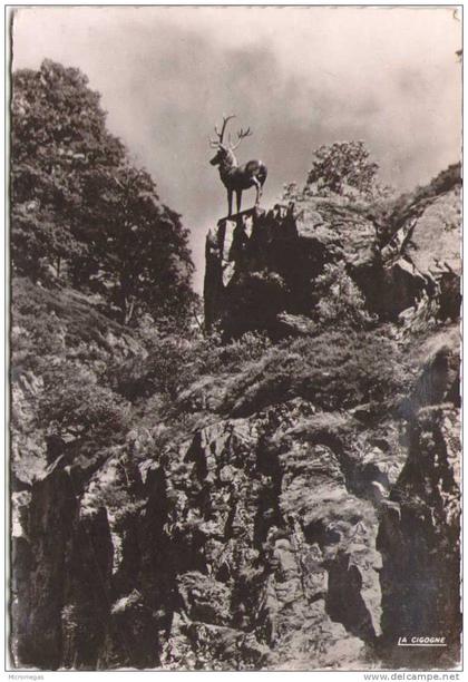 HOLLENTHAL (Forêt Noire) - Hirschsprung (Saut du Cerf)
