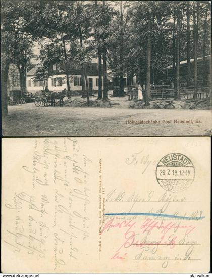 Ansichtskarte Hohwald (Sachsen) Kutsche vor der Hohwaldschänke b Neustadt 1918