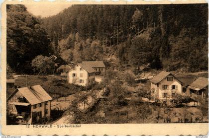 Hohwald - Sperberbächel
