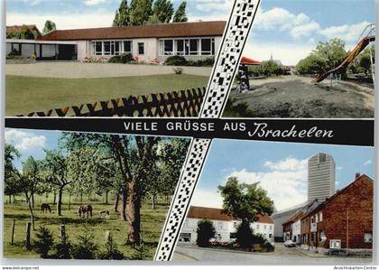 50349408 - Brachelen