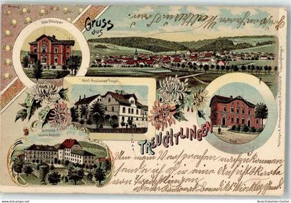 13606398 - Treuchtlingen