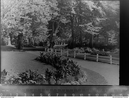 30048436 - Husum , Nordsee