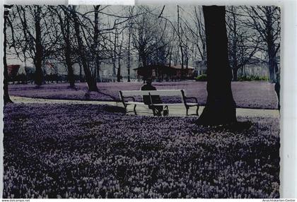 50400919 - Husum , Nordsee