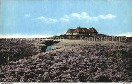 Halligen Nordsee Bluehende Hallig