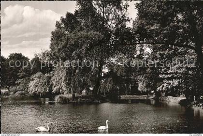 Ibbenbueren Schwanenteich