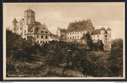 AK Illertissen, Schloss