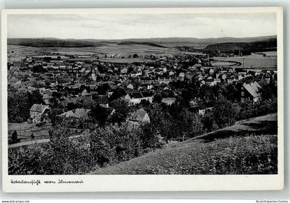 39399550 - Ilmenau , Thuer