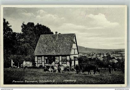 13520708 - Ilsenburg