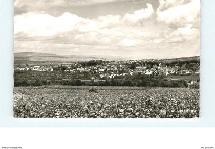 Ingelheim Rhein