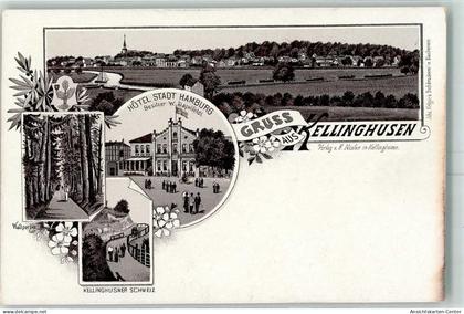 13424617 - Kellinghusen