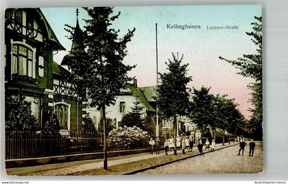 13577784 - Kellinghusen