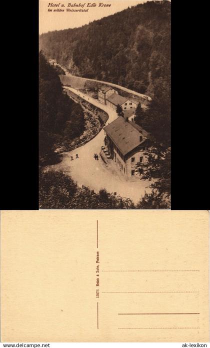 Ansichtskarte Edle Krone-Klingenberg (Sachsen) Wilde Weisseritz Bahnhof 1913