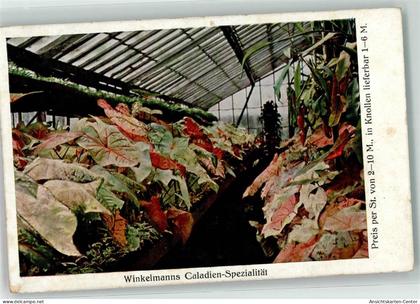 10630715 - Koeln Rodenkirchen 208 , Bez Koeln