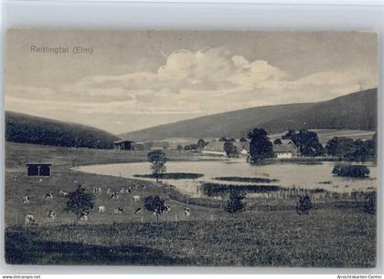 11007858 - Koenigslutter am Elm