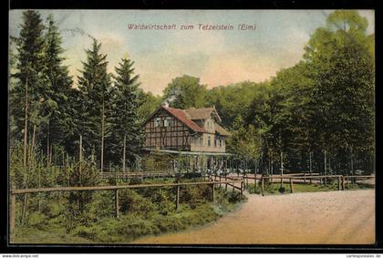 AK Königslutter /Elm, Waldgasthof zum Tetzelstein