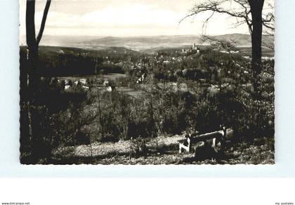 Koenigstein Saechsische Schweiz Koenigstein