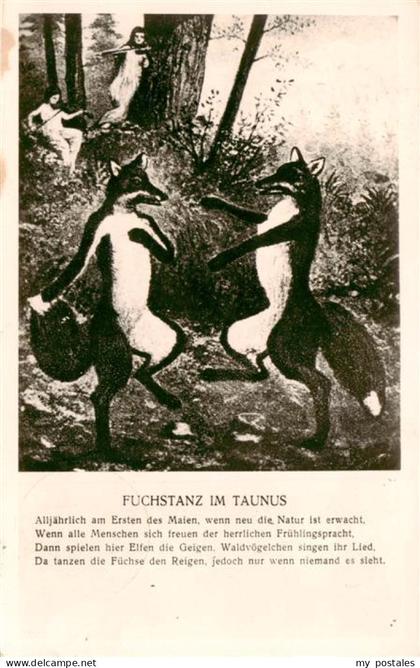 Koenigstein  Taunus Fuchstanz im Taunus