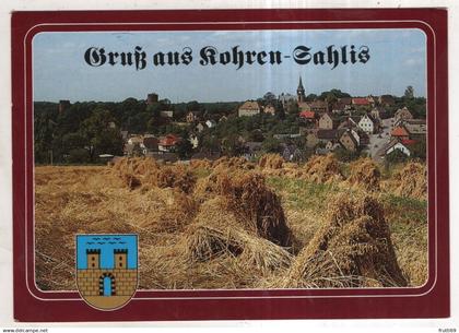 AK 245995 GERMANY - Kohren-Sahlis