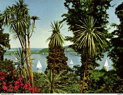 CPM Ile de Mainau au Lac de Constance Groupe de Dracaeneas