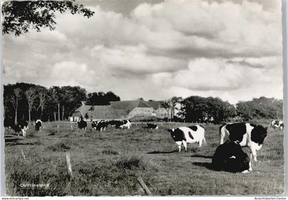 50669728 - Groothusen