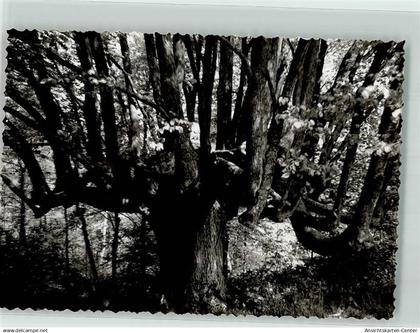 39707385 - Kuenzelsau